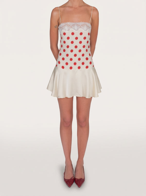 Polka Dot Lace Mini Dress