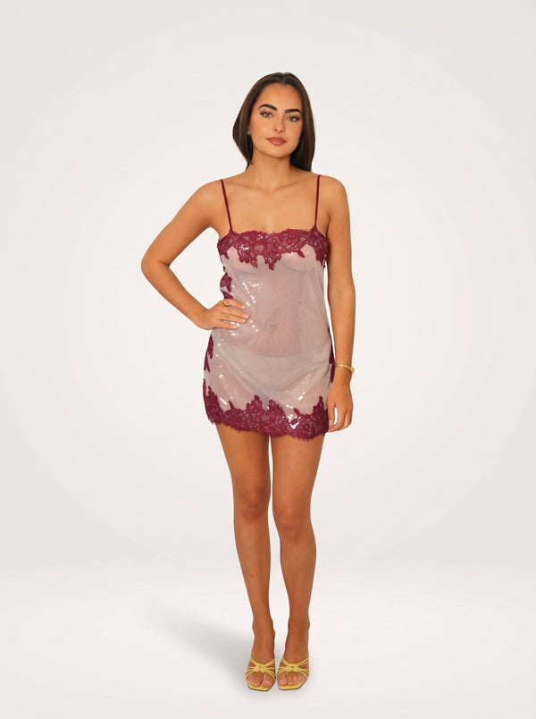 Sequin Lace Mini Dress